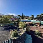 Tropical Paradice