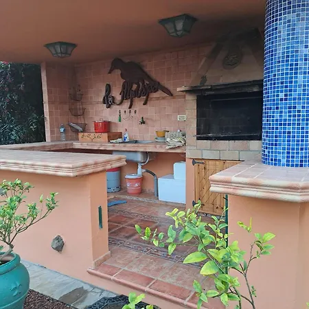 Tropical Paradice * Icod De Los Vinos