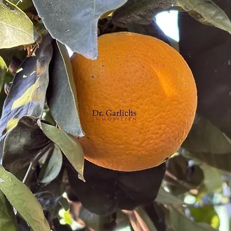 ヴィラ Tropical Paradice